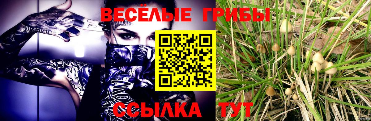 Галлюциногенные грибы Cubensis Домодедово